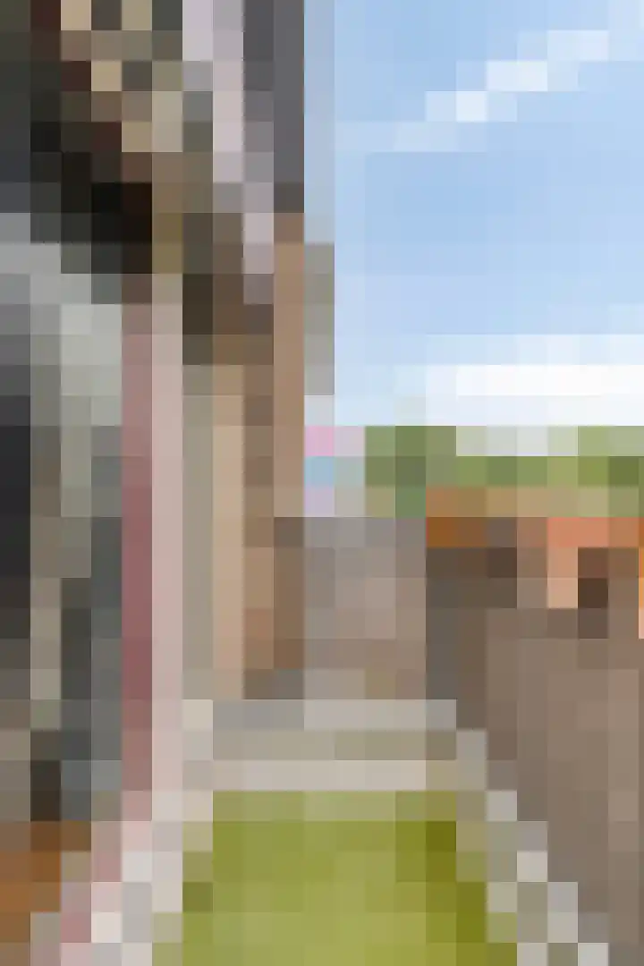 Van Langendonckstraat 100 Rotterdam thumbnail 16