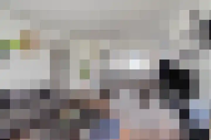 Van Langendonckstraat 100 Rotterdam thumbnail 5