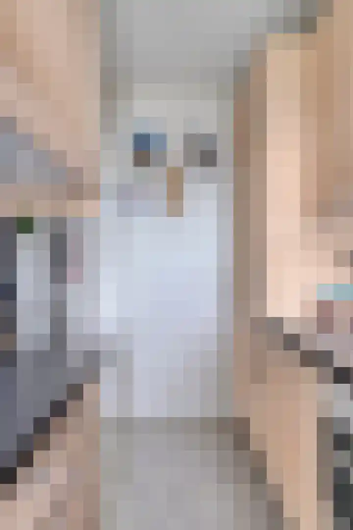 Van Langendonckstraat 100 Rotterdam thumbnail 9