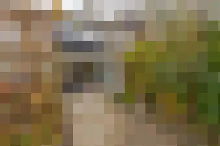 Van Langendonckstraat 12 Rotterdam thumbnail 14