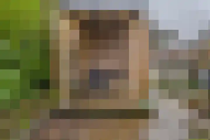 Van Langendonckstraat 12 Rotterdam thumbnail 15