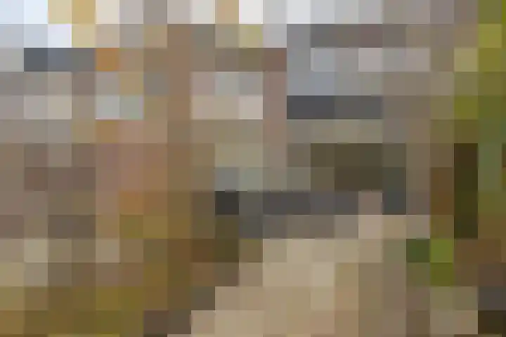 Van Langendonckstraat 12 Rotterdam thumbnail 16