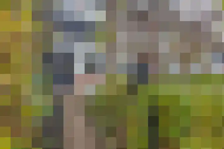 Van Langendonckstraat 12 Rotterdam thumbnail 7