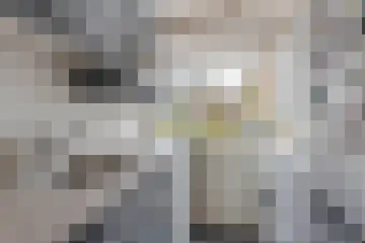 Van Langendonckstraat 12 Rotterdam thumbnail 9