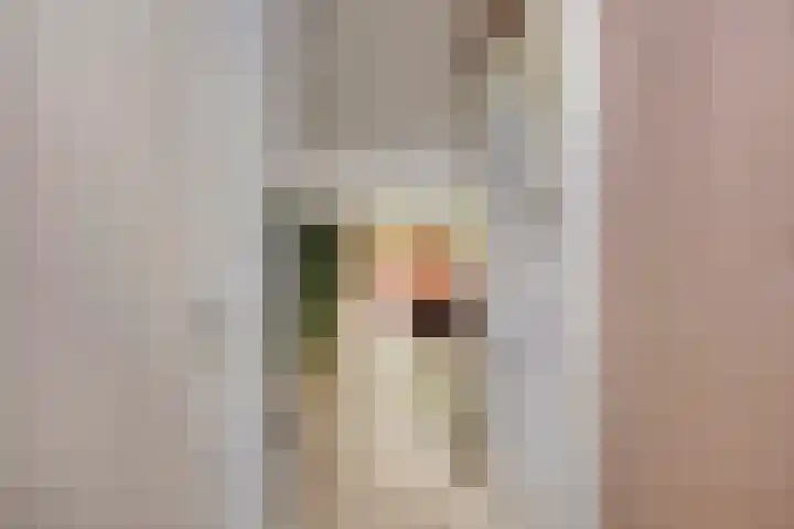 Van Langendonckstraat 13 Rotterdam thumbnail 10