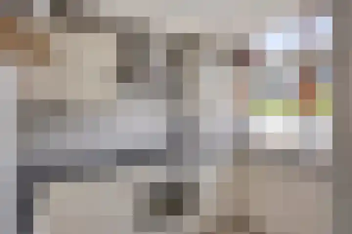Van Langendonckstraat 13 Rotterdam thumbnail 20