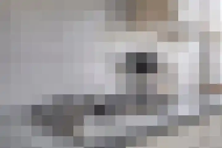 Van Langendonckstraat 13 Rotterdam thumbnail 21