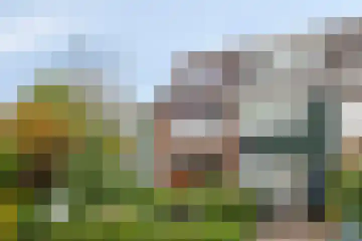 Van Langendonckstraat 13 Rotterdam thumbnail 5