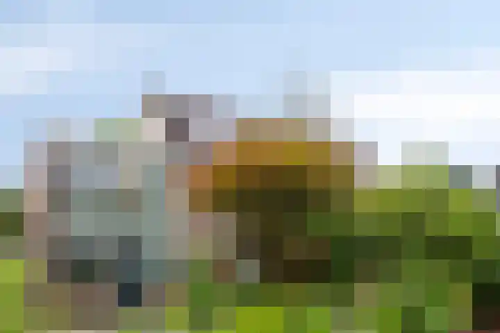 Van Langendonckstraat 13 Rotterdam thumbnail 6
