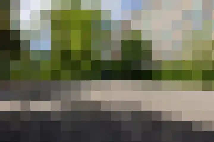 Van Langendonckstraat 26 Rotterdam thumbnail 22