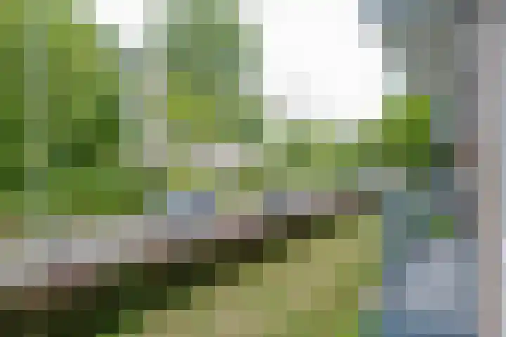 Van Langendonckstraat 62 Rotterdam thumbnail 18