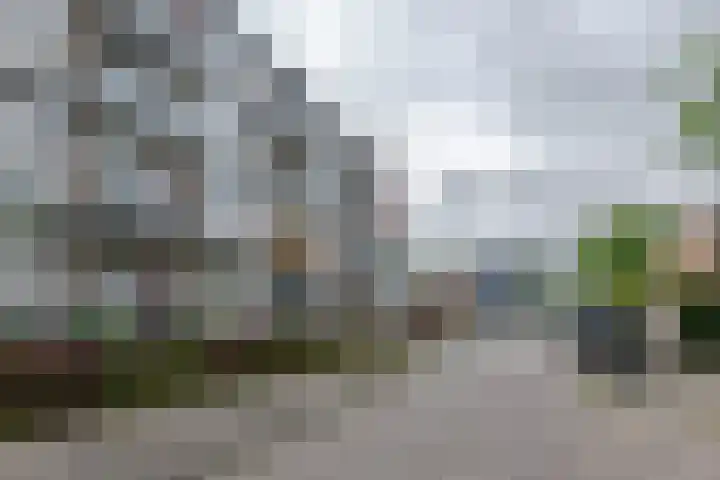 Van Langendonckstraat 62 Rotterdam thumbnail 21
