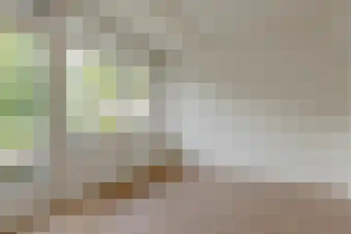 Van Langendonckstraat 62 Rotterdam thumbnail 4