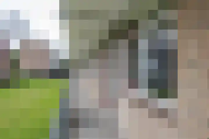Van Langendonckstraat 62 Rotterdam thumbnail 6