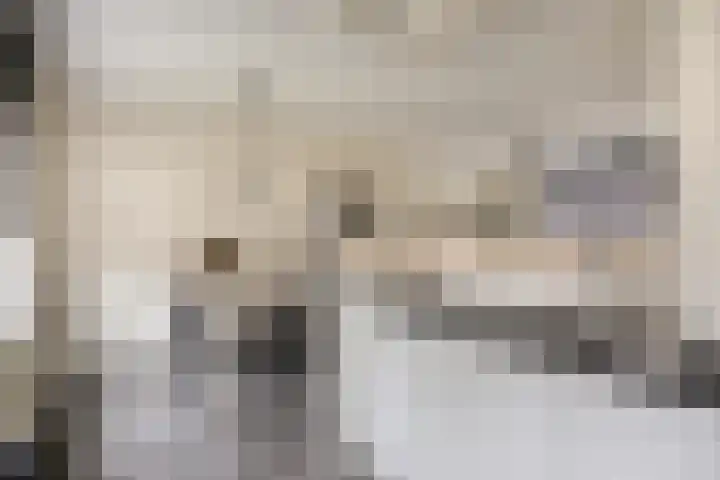 Van Langenmarke 18 Zwolle thumbnail 11