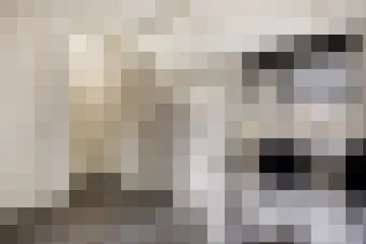 Van Langenmarke 18 Zwolle thumbnail 12
