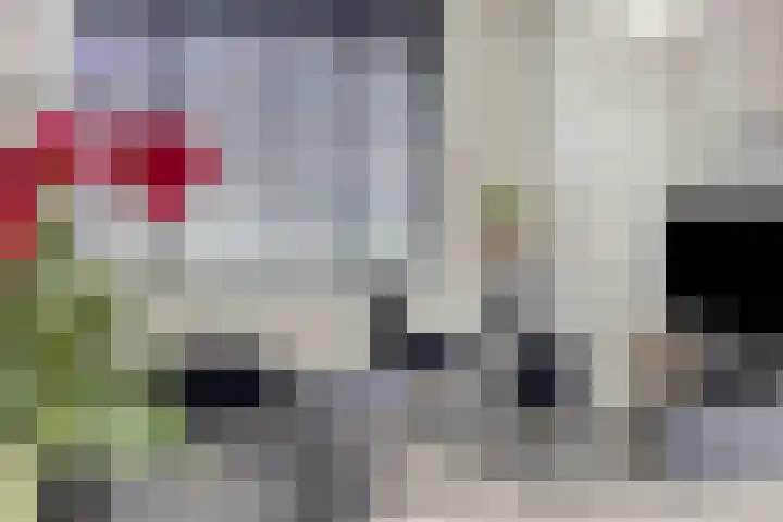 Van Langenmarke 18 Zwolle thumbnail 13