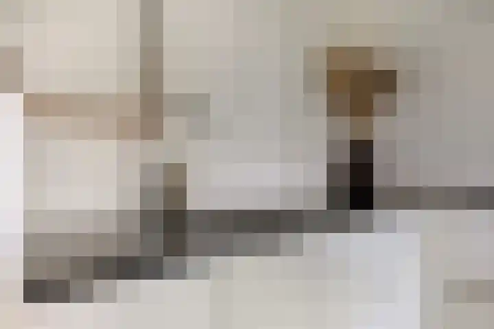 Van Langenmarke 18 Zwolle thumbnail 14