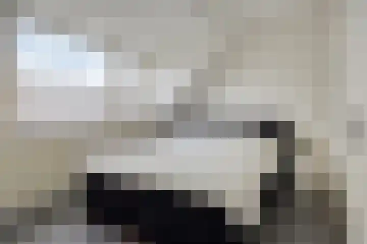 Van Langenmarke 18 Zwolle thumbnail 18