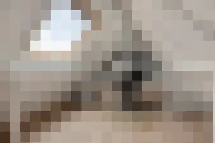 Van Langenmarke 18 Zwolle thumbnail 21