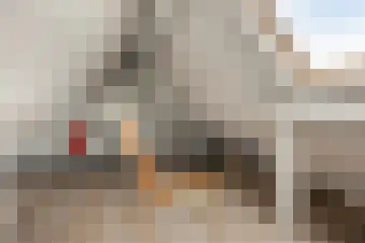 Van Langenmarke 18 Zwolle thumbnail 22