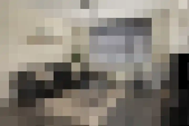 Van Langenmarke 18 Zwolle thumbnail 5