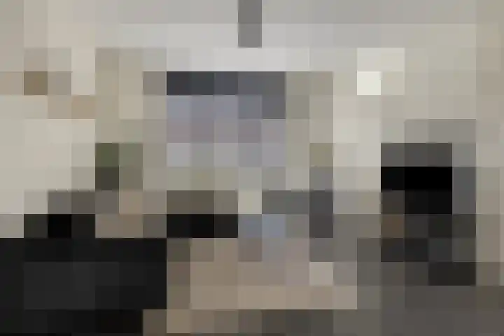 Van Langenmarke 18 Zwolle thumbnail 6