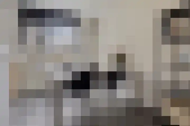 Van Langenmarke 18 Zwolle thumbnail 8