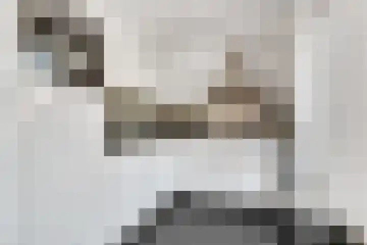 Van Langenmarke 26 Zwolle thumbnail 10