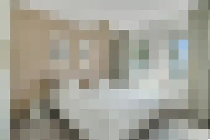 Van Langenmarke 26 Zwolle thumbnail 12