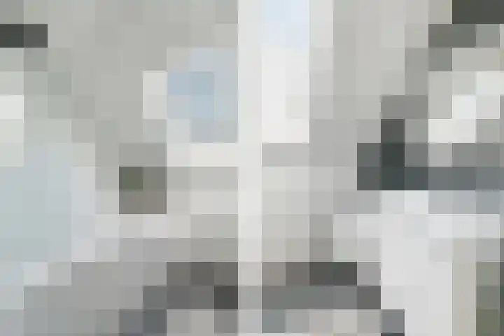 Van Langenmarke 26 Zwolle thumbnail 17