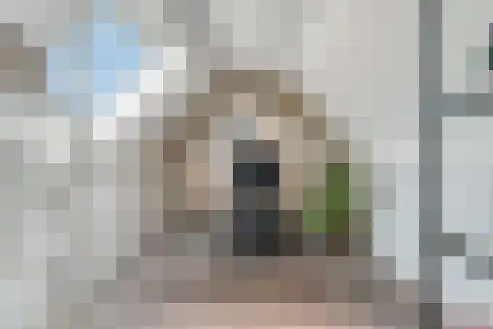 Van Langenmarke 26 Zwolle thumbnail 18