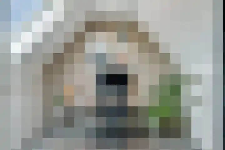 Van Langenmarke 26 Zwolle thumbnail 19