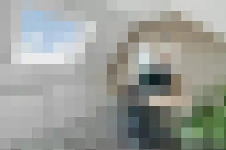 Van Langenmarke 26 Zwolle thumbnail 20