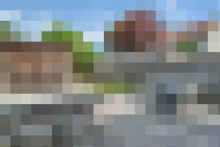 Van Langenmarke 26 Zwolle thumbnail 24