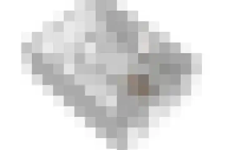 Van Langenmarke 26 Zwolle thumbnail 33