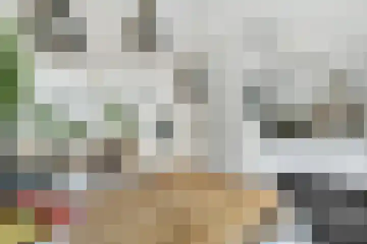 Van Langenmarke 26 Zwolle thumbnail 4