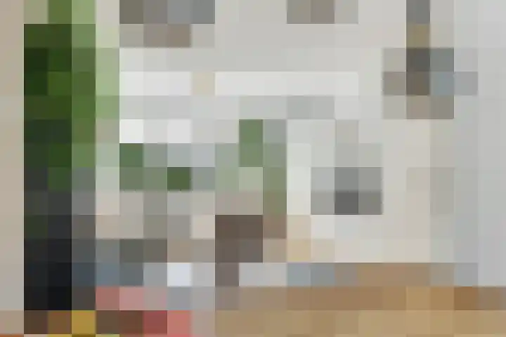 Van Langenmarke 26 Zwolle thumbnail 5