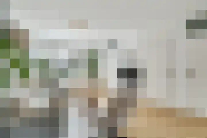 Van Langenmarke 26 Zwolle thumbnail 6