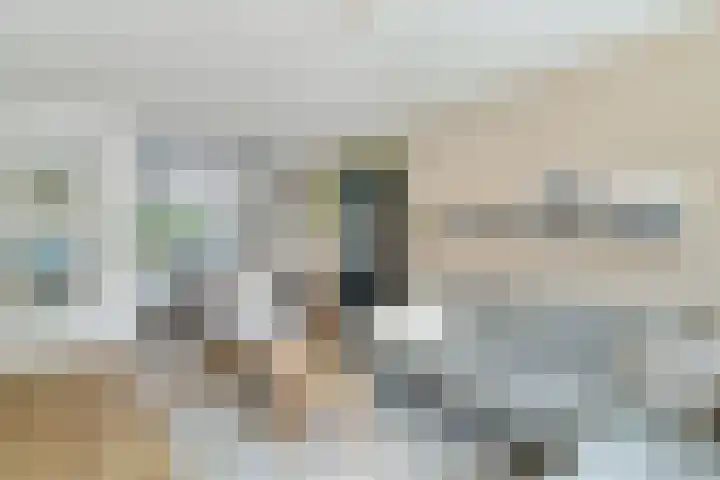 Van Langenmarke 26 Zwolle thumbnail 8