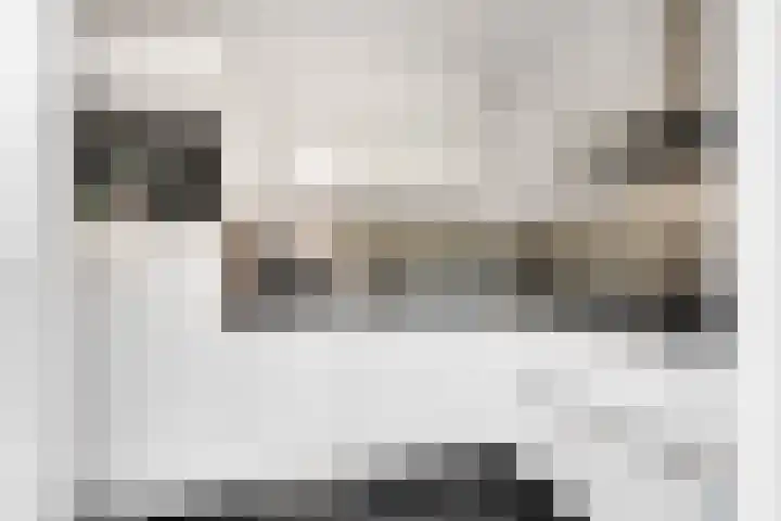Van Langenmarke 26 Zwolle thumbnail 9