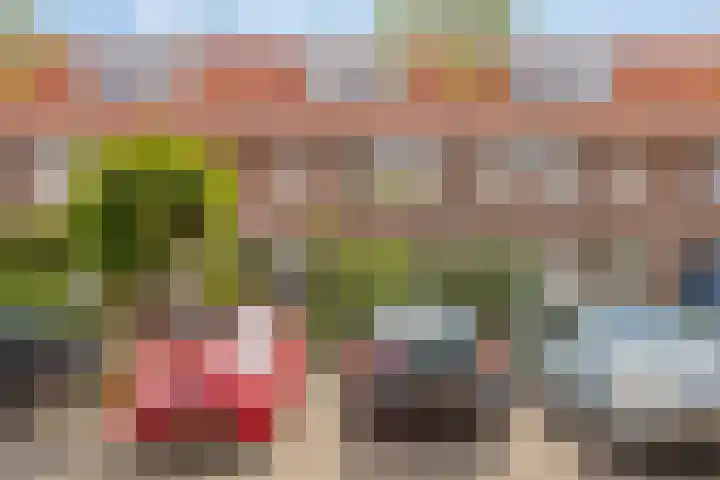 van Langeveldstraat 17 Nijmegen thumbnail 4