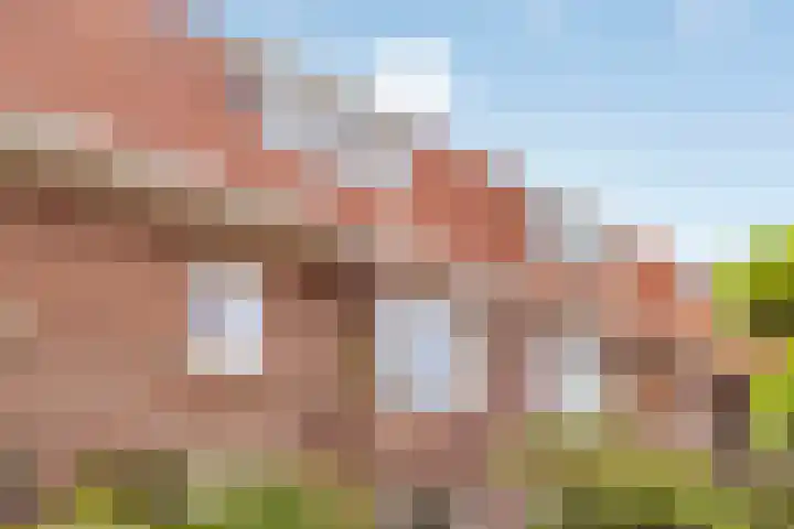 van Langeveldstraat 17 Nijmegen thumbnail 6