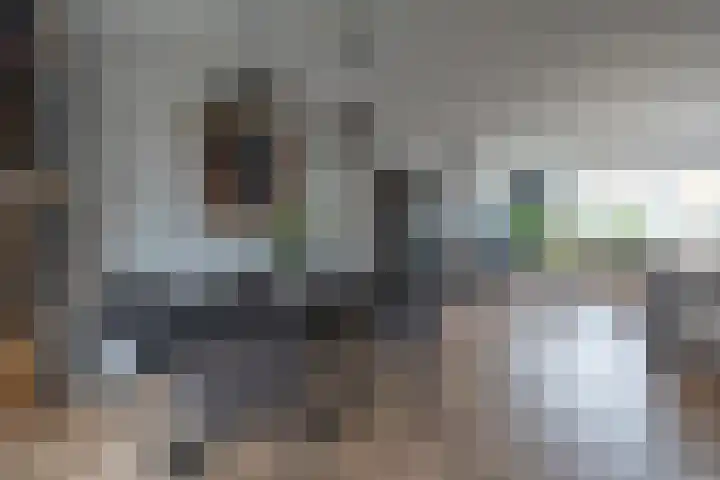Van Lannoystraat 8 Leerdam thumbnail 6