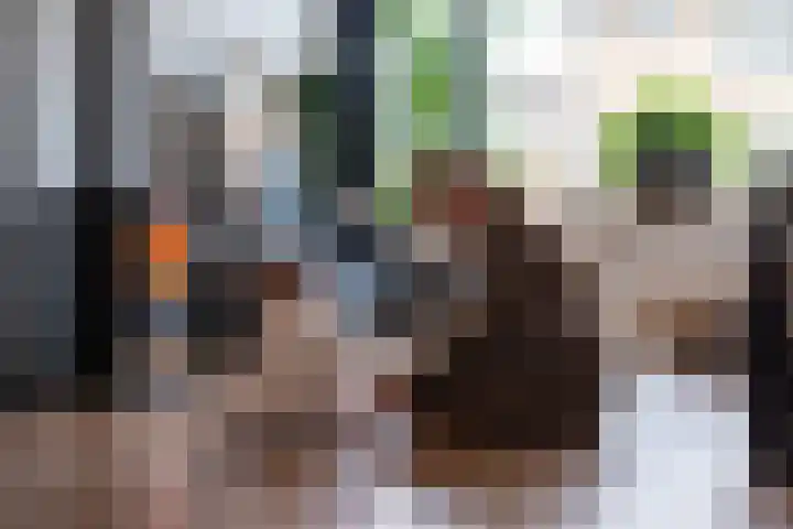 Van Lannoystraat 8 Leerdam thumbnail 8