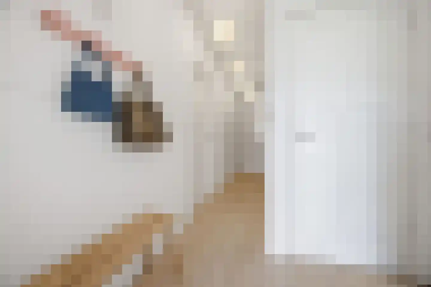 Van Lansbergestraat 38 Den Haag thumbnail 18