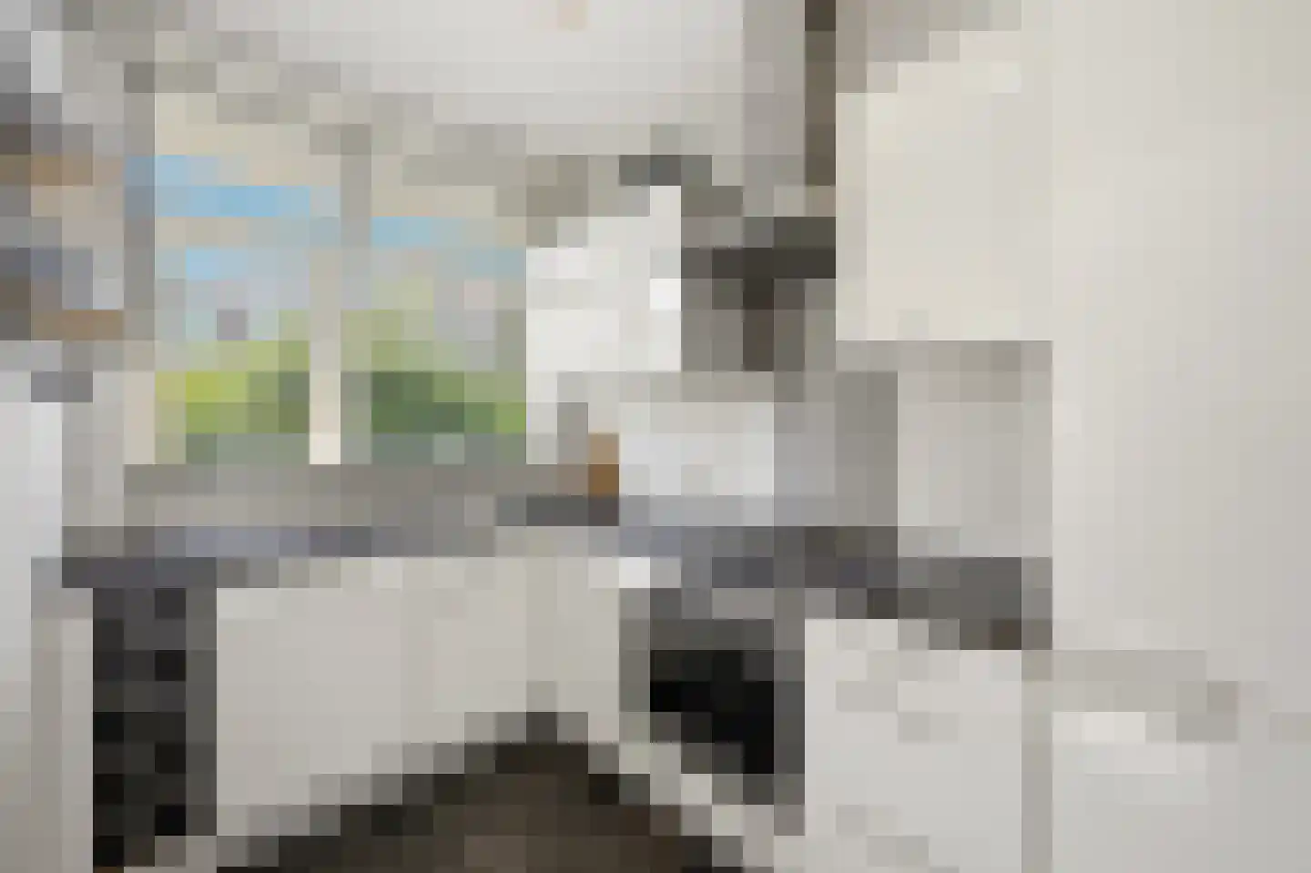 Van Lansbergestraat 44 Den Haag thumbnail 16
