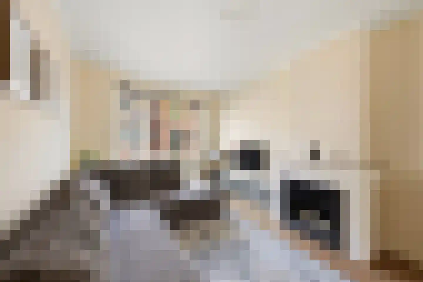 Van Lansbergestraat 44 Den Haag thumbnail 9
