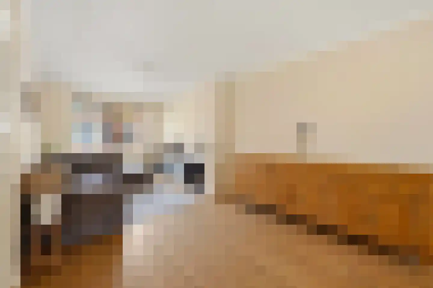 Van Lansbergestraat 44 Den Haag thumbnail 9