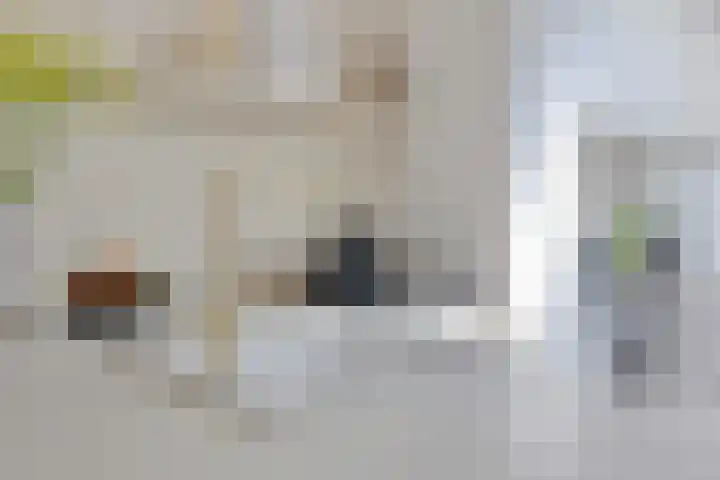 van Lanschotstraat 19 Achtmaal thumbnail 11